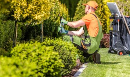 Tipps für Arbeiten im Garten