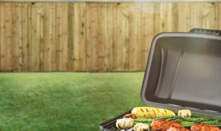 Gas oder Holzkohlegrill?